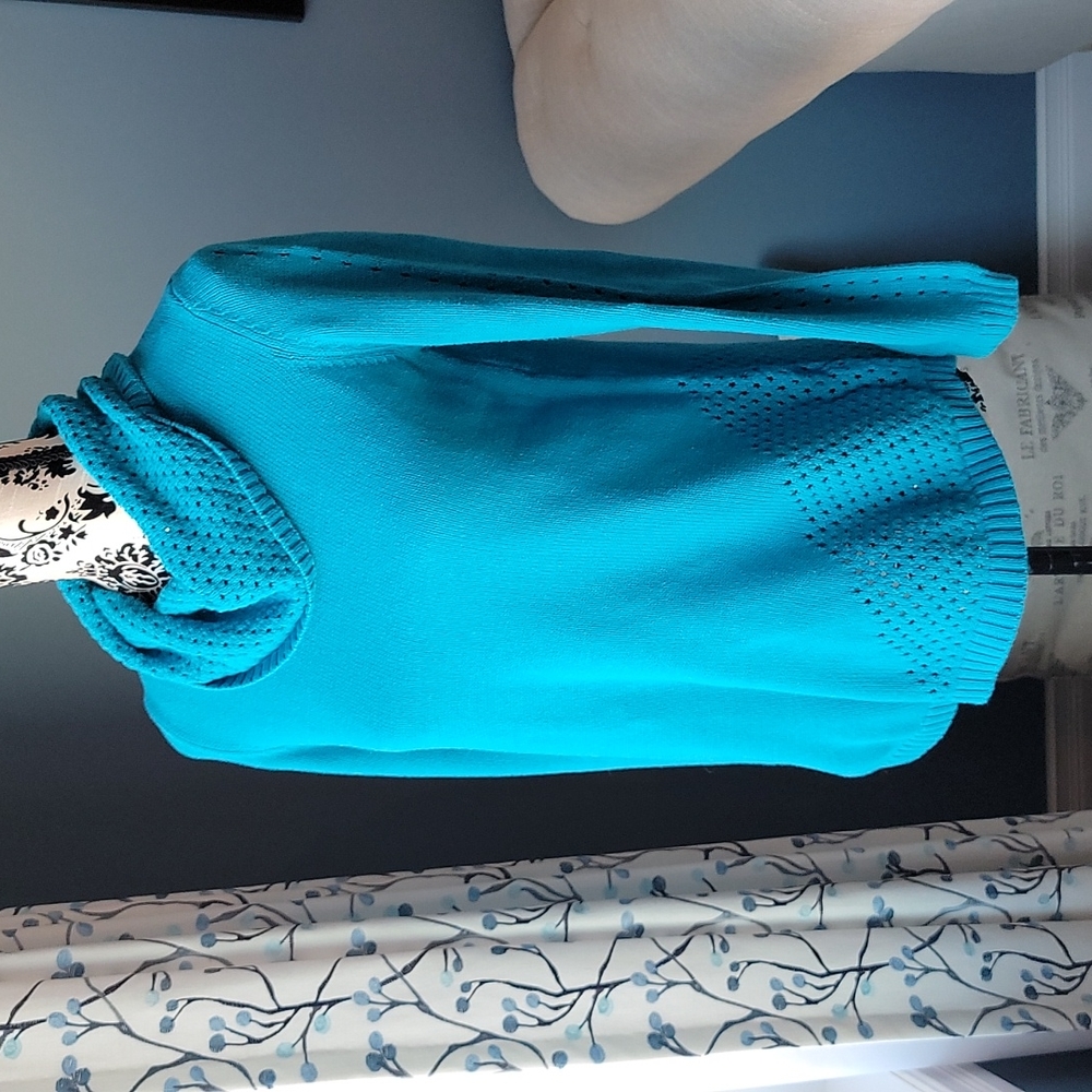 Laura Petites cowl neck sweater